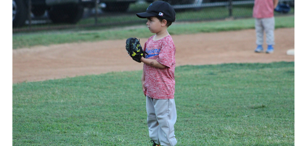 Fort Lauderdale Little League Baseball Program DIvisions